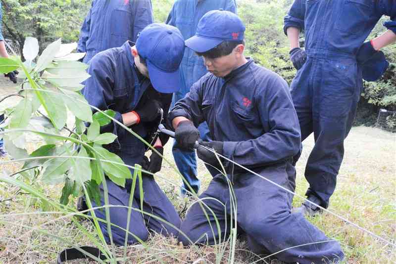 芦北高の鏡山演習林でくくりわなを設置する水俣高の生徒ら＝芦北町