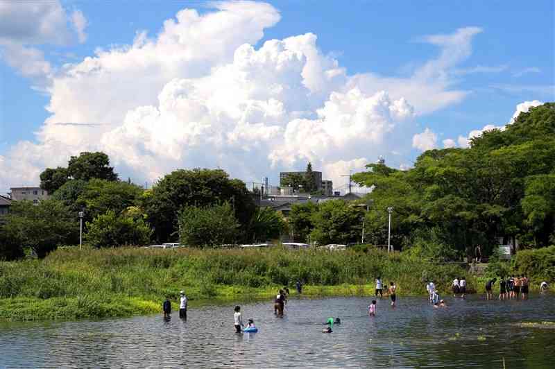 家族連れなどが水遊びする上江津湖。入道雲が湧き上がっていた＝28日午後、熊本市中央区（小野宏明）