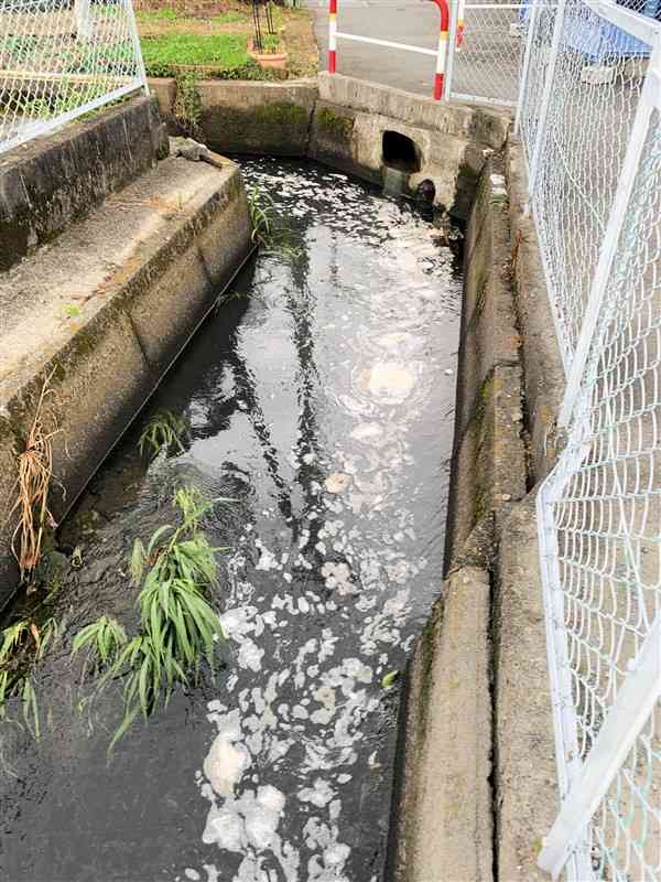 泡やタマネギの皮のようなものが流れる熊本市西区の用水路（読者提供）
