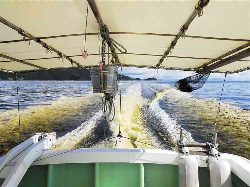 県水産研究センターが9日の調査で船上から撮影した上天草市姫戸町沖の八代海の様子。赤潮により海面が褐色に濁っている（同センター提供）