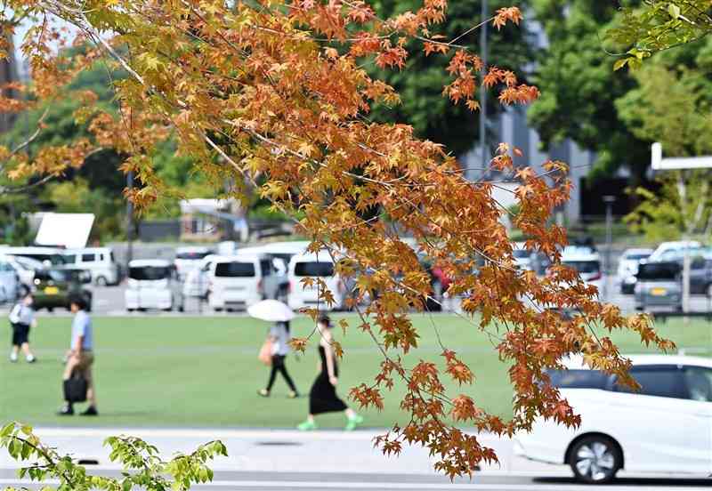 23日は 処暑 秋の気配はどこに 熊本県内各地で厳しい残暑続く 熊本日日新聞社