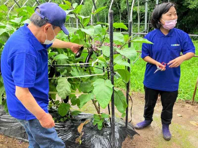 自然体験イベントでナスの収穫方法を説明する高本亜梨紗さん（右）＝7月、高森町