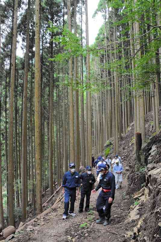 加來健功さんが手掛けた作業道を見学する美里町議ら＝同町