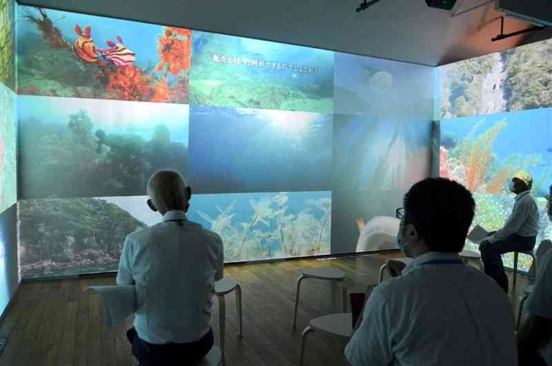 改修を終えてリニューアルオープンした「県富岡ビジターセンター」では、3面の大型スクリーンで天草の海の生物を観察できる＝苓北町