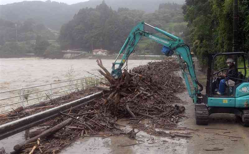 川辺川の増水で国道445号を埋めた流木＝19日午前8時ごろ、相良村（小野宏明）