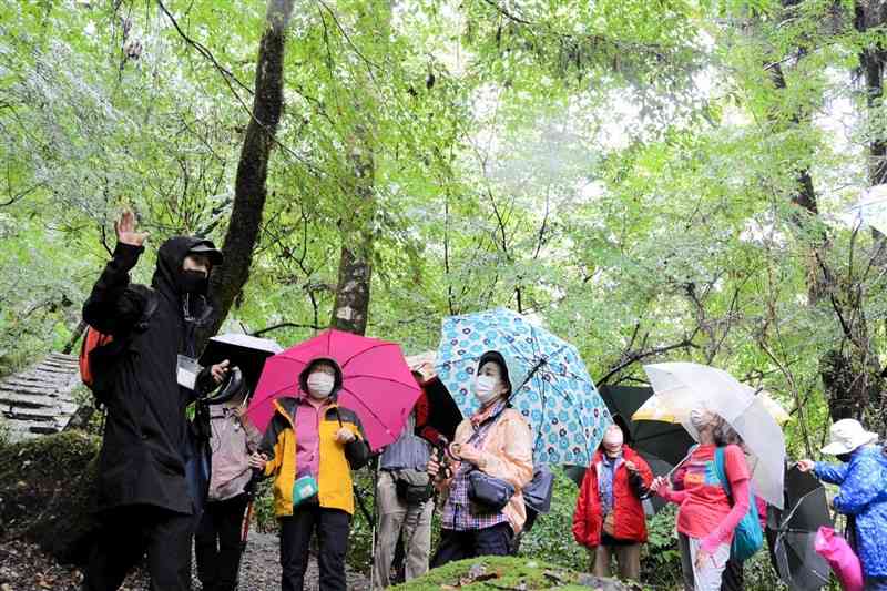 ガイドの山田隆博さん（左）から渓谷の説明を受けるツアー参加者＝菊池市