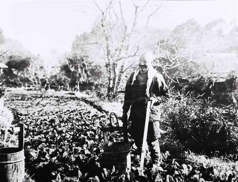 野菜畑に下肥とみられる肥料をまく男性＝1936年、上手