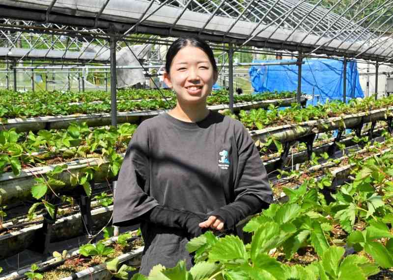 定植を終えたイチゴのハウスで、将来の夢を語る池田涼さん＝山都町