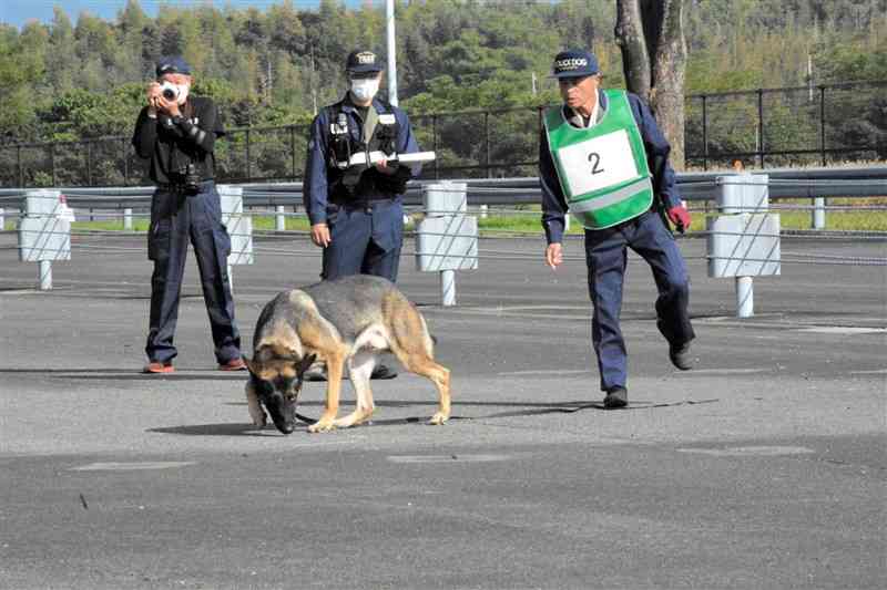 遺留品や足跡のにおいから足取りをたどる競技に挑戦する嘱託警察犬と指導士＝菊陽町