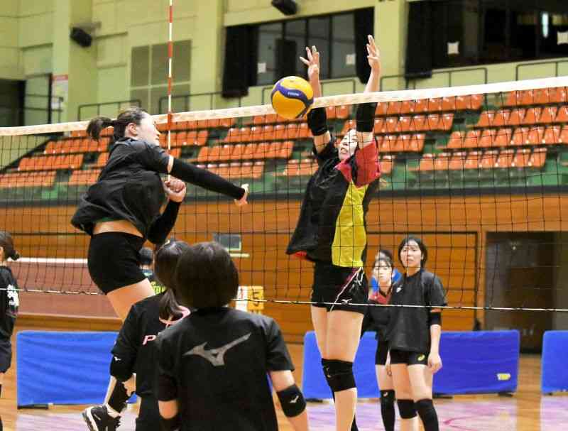 練習に励むフォレストリーヴズ熊本の選手ら＝熊本市中央区の同市総合体育館