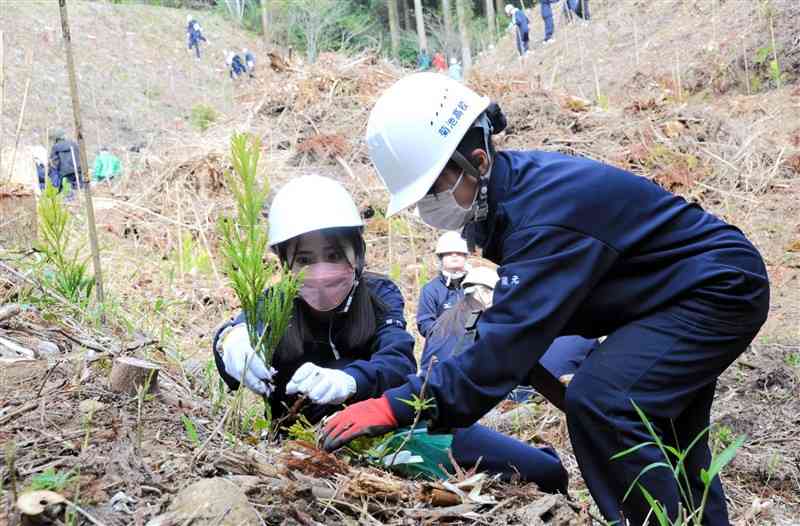 山林でスギの苗木を植樹する生徒たち＝菊池市