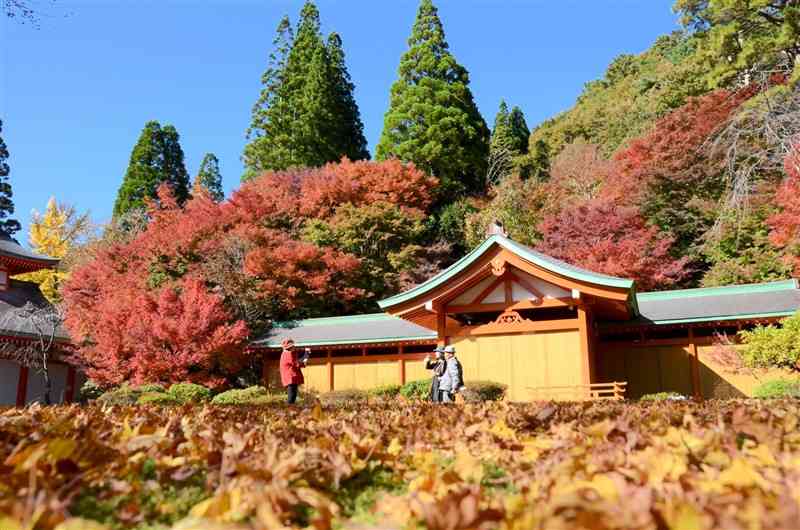 紅葉した木々に彩られた「五家荘平家の里」＝八代市泉町