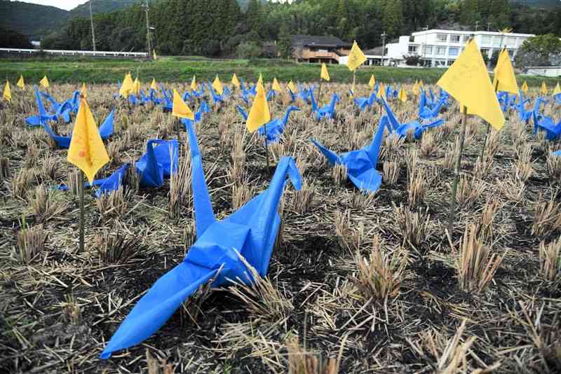 旧鶴城中校舎（右奥）近くの田んぼに並ぶブルーシート製の折り鶴と黄色の小旗＝山鹿市