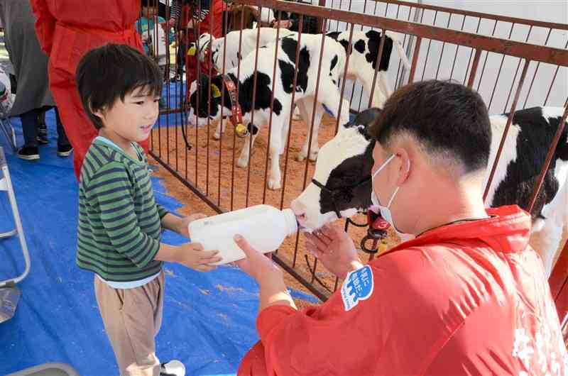 「くまもと農業フェア」で子牛の哺乳を体験する子ども＝合志市