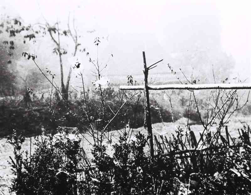 朝霧と蜘蛛の巣。1936年10月下旬