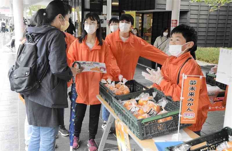 来場客を呼び込み、ミカンを販売する児童ら＝熊本市中央区