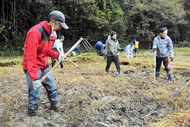 くわを使って湿地を耕す参加者たち＝相良村