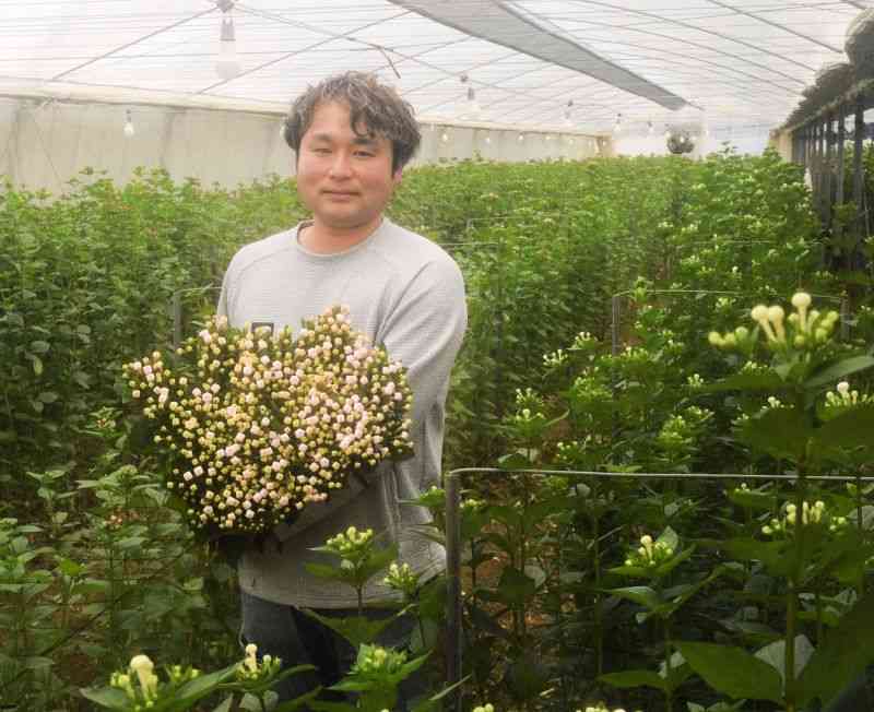 婚礼用の切り花などに用いられる「ブバルディア」を周年栽培する中島紳児さん＝山鹿市