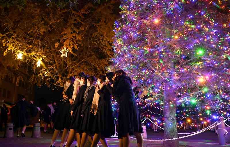 九州ルーテル学院で点灯がはじまったクリスマスイルミネーション＝1日夜、熊本市中央区（石本智）