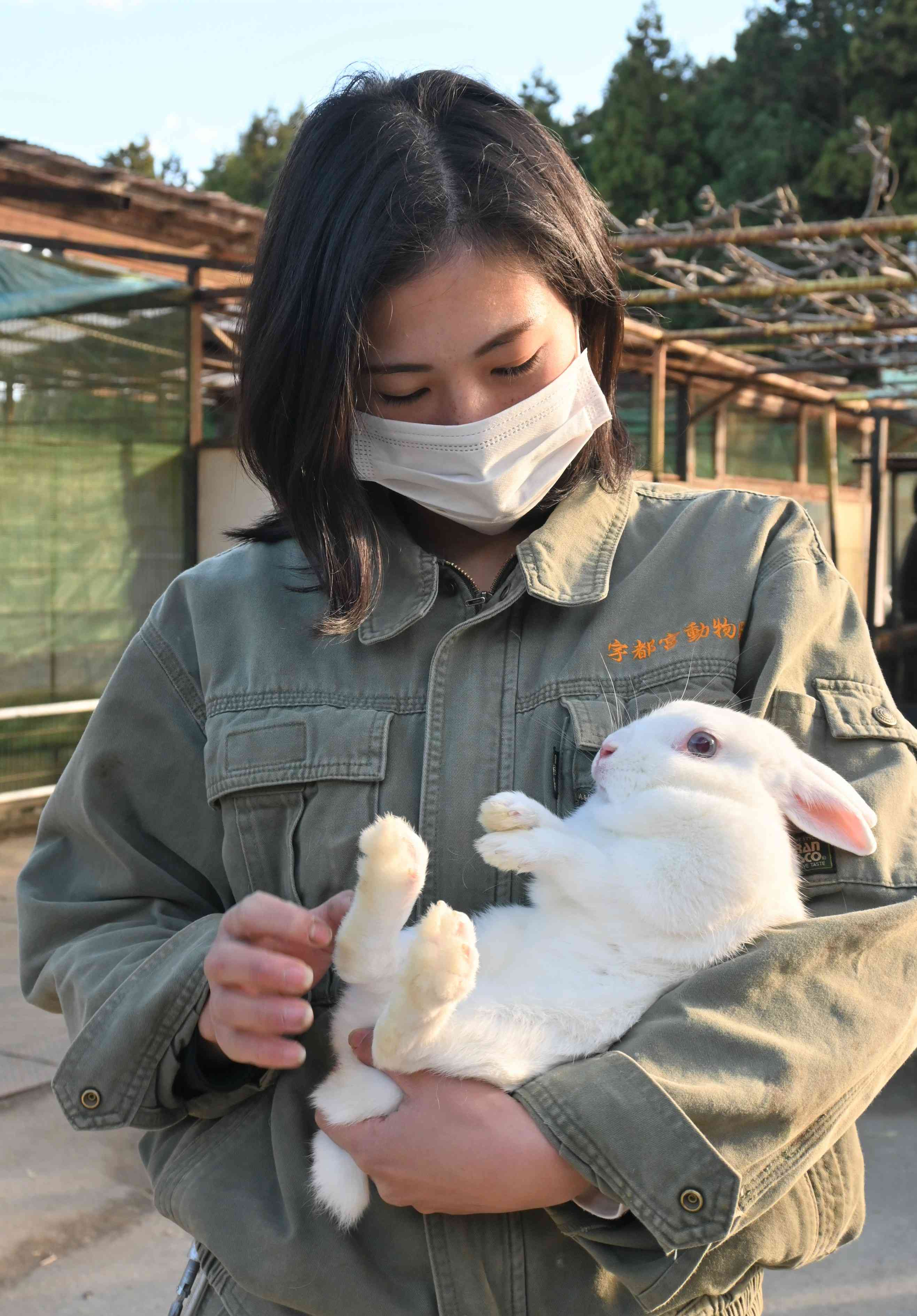 飼育員の篠崎さんに抱っこされるウサギ。前足と比べて後ろ足が発達している＝2022年12月26日、宇都宮市上金井町