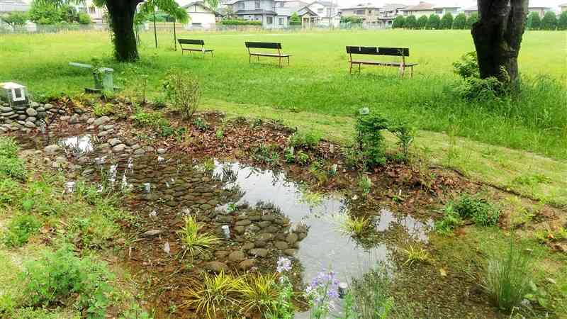 県立大のキャンパス内に整備された雨庭（同大提供）