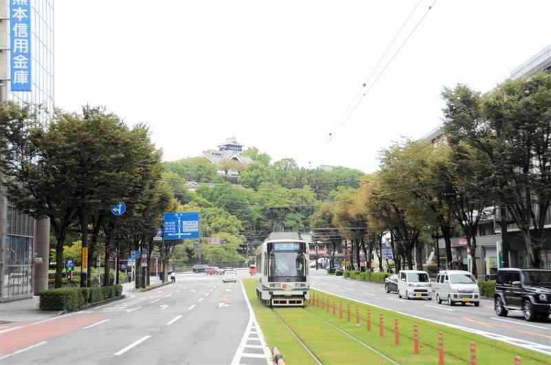 「森の都」の象徴とされる熊本市中心部の通町筋からの眺め。市は2023年度から景観を形成する街路樹の再生に力を入れる＝22年10月、同市中央区