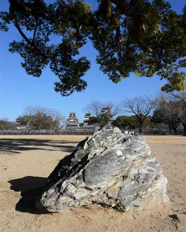 熊本城天守閣を眺めるように鎮座する石。石も熊本城の復興を見守っているのだろうか＝熊本市中央区