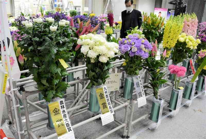 グランプリに藤島幹大さんのキク（前列左端）を選んだ県花き品評会＝18日、県庁