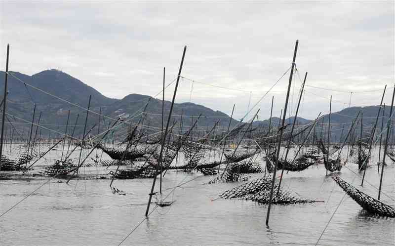 絡まった支柱式の養殖ノリ網。本来は海面に浮かんでいるが、絡まったまま潮が引き、海上に露出している＝26日、熊本市の有明海沖