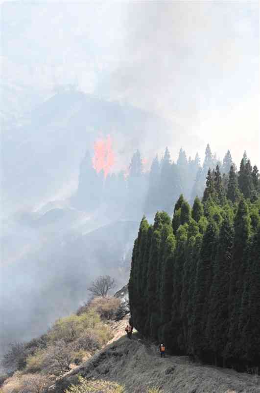 昨春の野焼きで植林地に向かって広がる炎＝2022年4月、阿蘇市