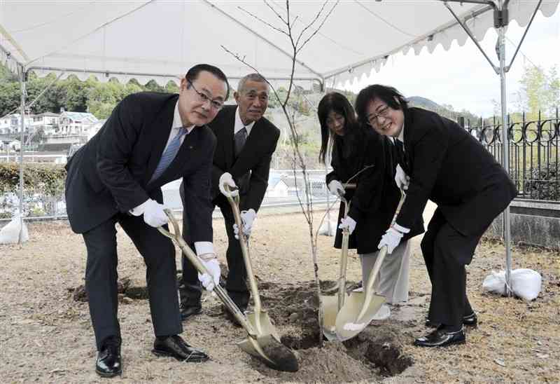 米ワシントンから日本に里帰りしたソメイヨシノの苗木を植樹する「へいわ・しながわアクションセンター」の徳永淳理事長（右）ら＝水俣市