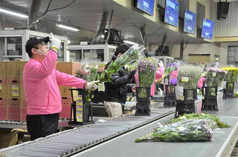 熊本花市場で競りにかけられる切り花。円安や資材高の影響もあり、高値で推移している＝2月上旬、熊本市南区