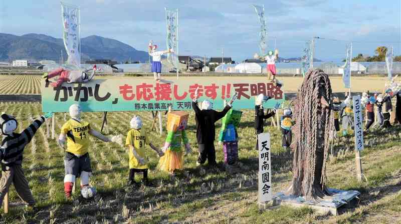 熊本城マラソンコースの20キロ地点近くの田んぼに設置された〝かかし応援団〟＝熊本市南区