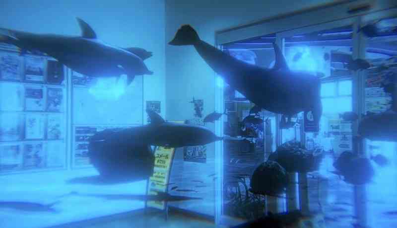 施設内にあるQRコードをスマホで読み込むと、画面上の景色にイルカなどが現れる「アマクサXR水族館」＝天草市の道の駅市イルカセンター