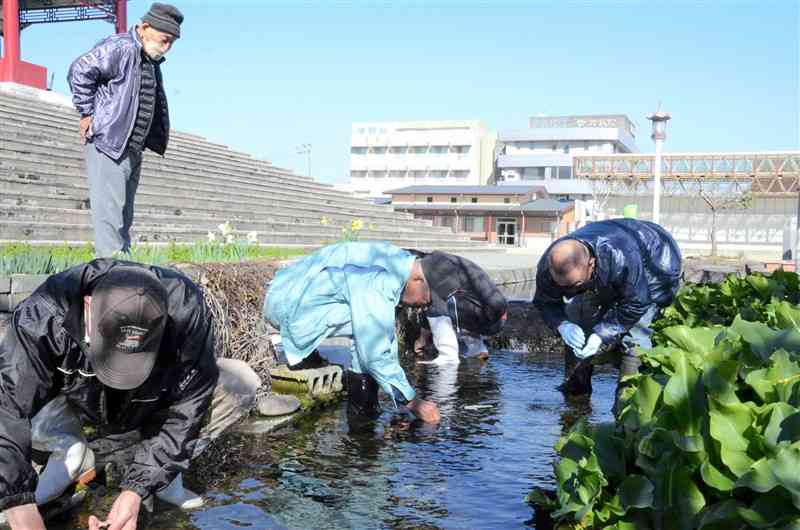 高森町をホタルの里に 住民グループが菊池市で育成法学ぶ｜熊本日日新聞社