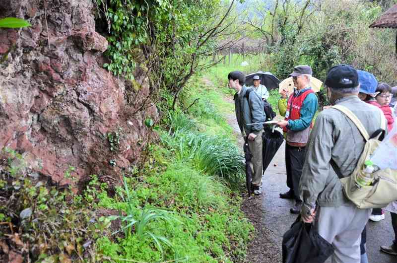 赤井火山から放出された溶岩が堆積した地層を見学するイベント参加者＝益城町