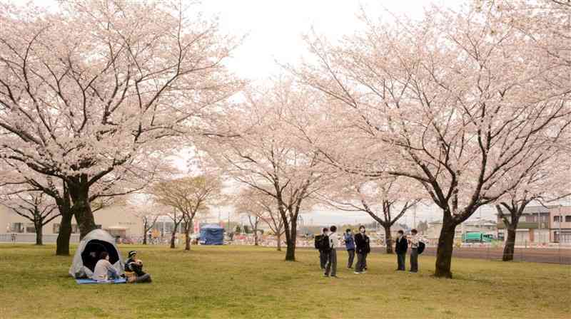 御代志駅（左奥の建物）の北側に広がる桜並木＝27日、合志市