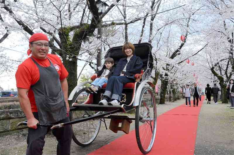 花見客を乗せて人力車を引く梅田雄二さん＝菊池市