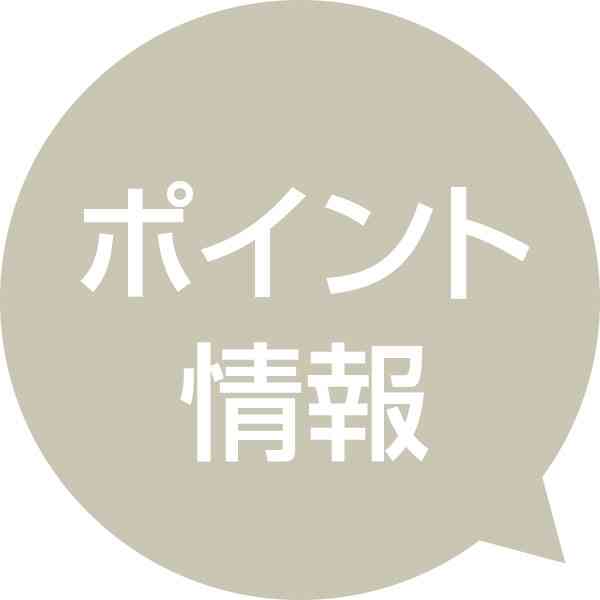 ＜ポイント情報=２月９日＞コノシロ、コウイカなど