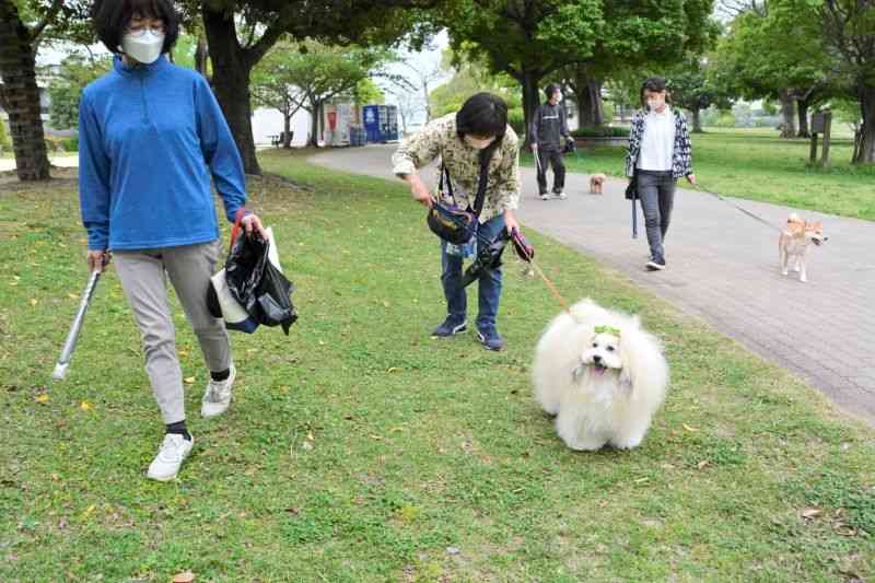 水前寺江津湖公園（広木地区）で清掃活動に取り組む「えづワン隊」＝19日、熊本市東区