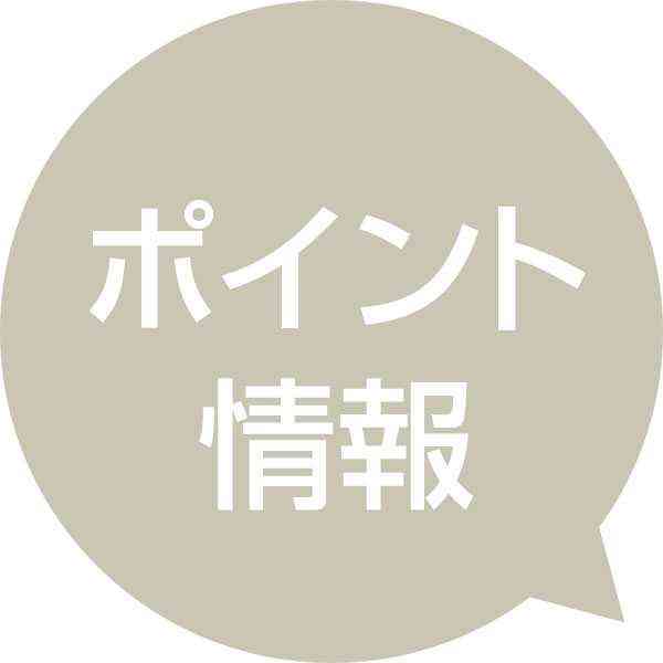 ＜ポイント情報=4月6日＞チヌ、タチウオなど