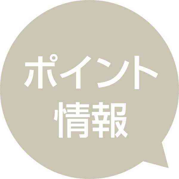 ＜ポイント情報＝4月20日＞キス、タチウオなど