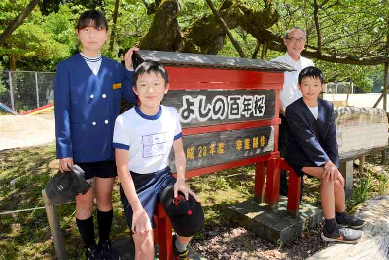 「よしの百年桜」の保全などに取り組む芳野小の児童ら＝熊本市西区