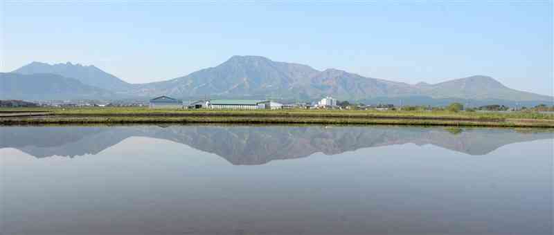 水田に映し出された「逆さ涅槃像」＝阿蘇市