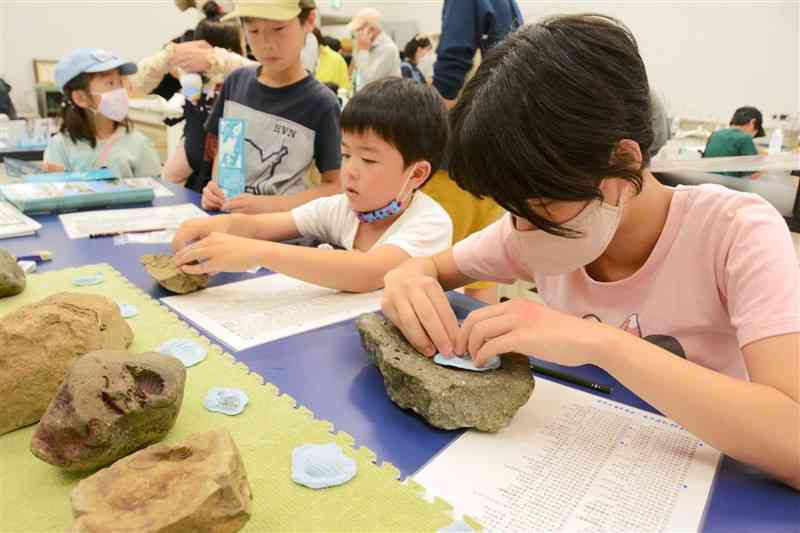 天草市御所浦町で採取された化石のレプリカを作る子どもたち＝熊本市中央区