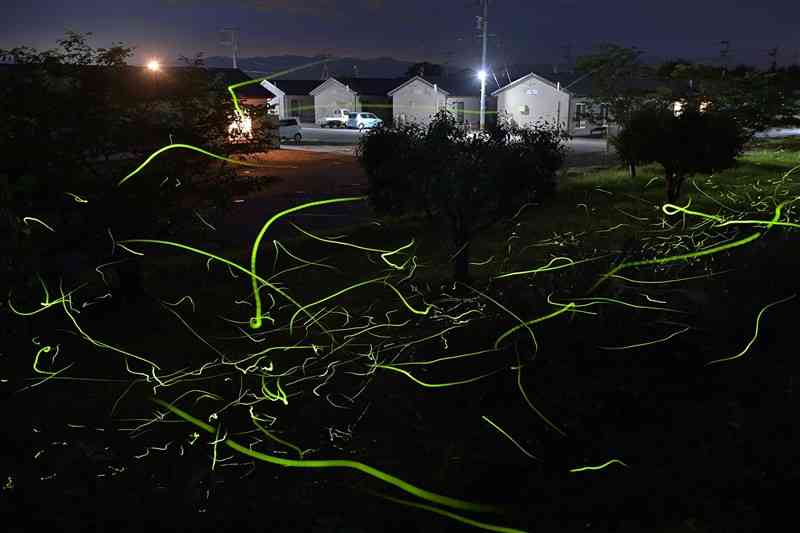 ホタル淡く…熊本豪雨の被災地に　熊日写真映像部記者、それぞれの視点