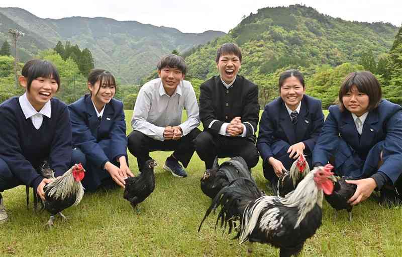 久連子鶏の品評会に挑んだ熊本農業高畜産科の生徒たちと出品した鶏＝八代市泉町（谷川剛）