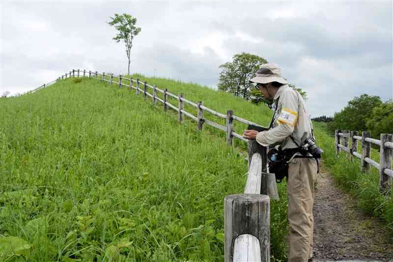 スズランに自生する植物を観察して記録する調査員＝阿蘇市