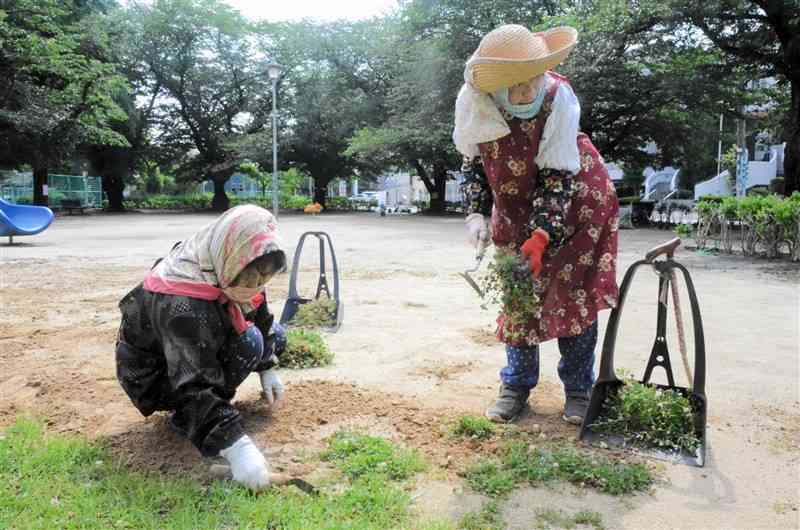 西原公園で草取りに汗を流す井上ミエ子さん（右）と宮村まりさん＝7日、熊本市中央区