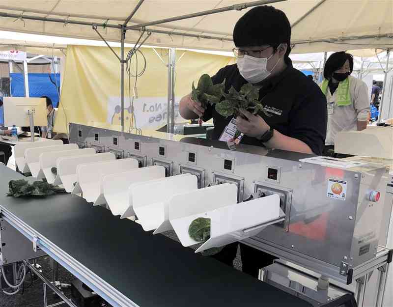 葉物野菜の袋詰めを省力化するオーケープランニングの「テーブルコンビpro」＝5月下旬、益城町